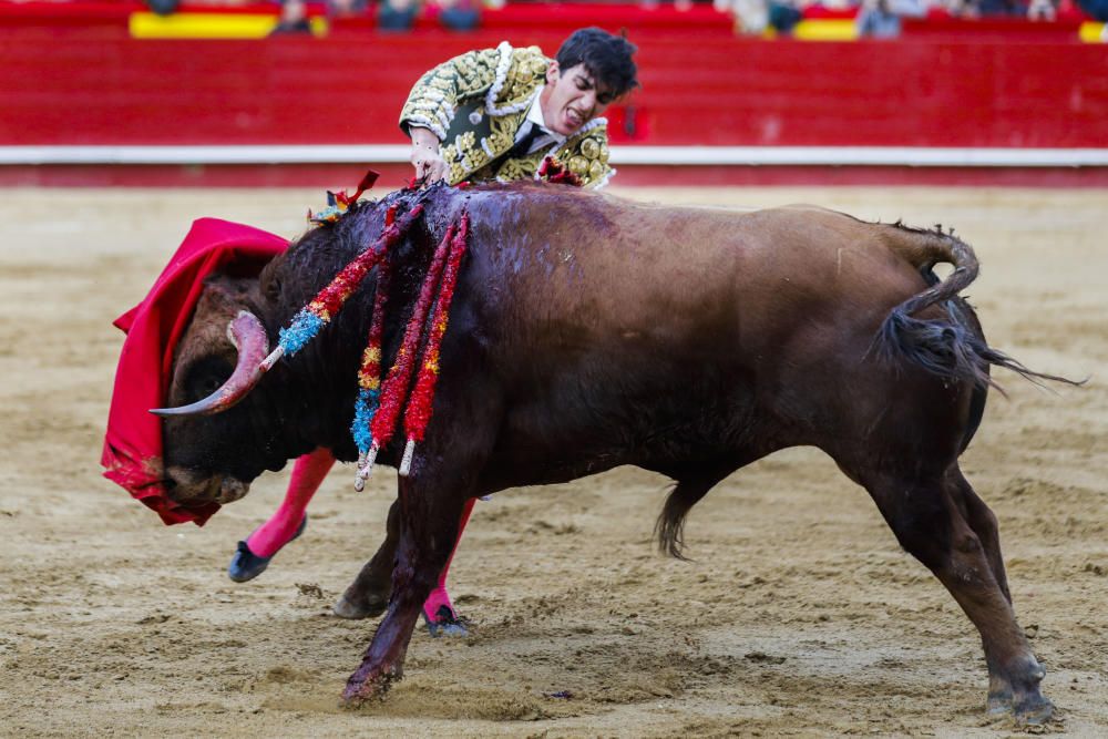 Novillada del 13 de marzo