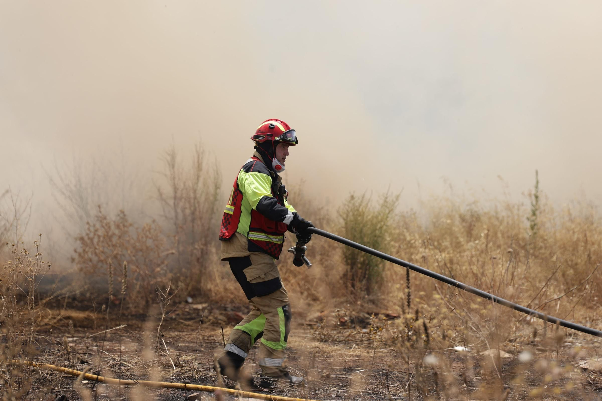El Incendio en el Cerro de los Pinos, en imágenes