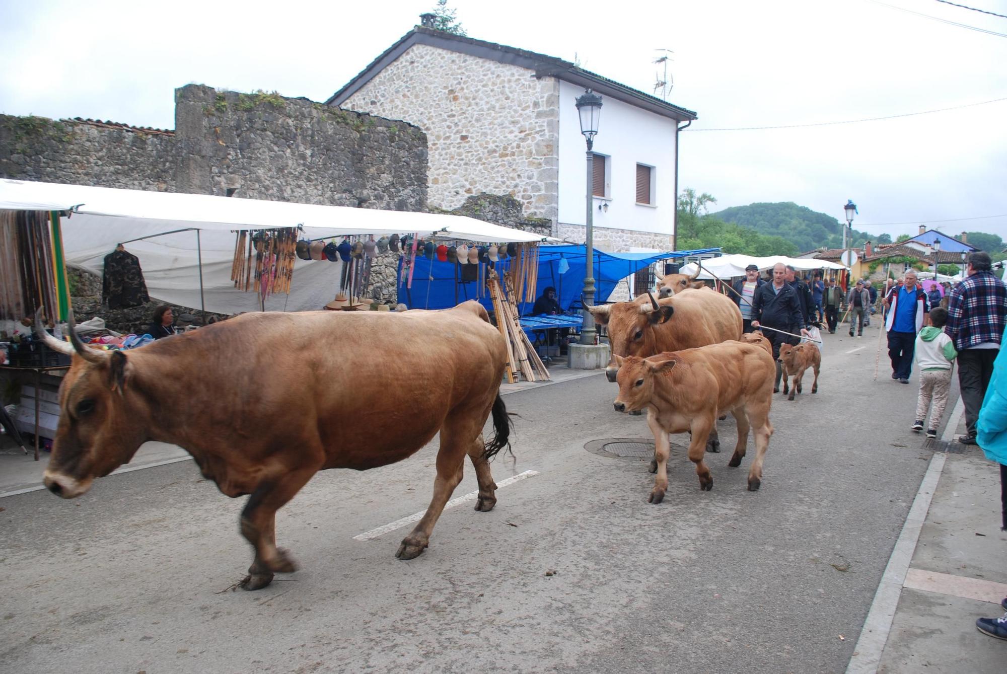 La Feriona de Corao en imágenes