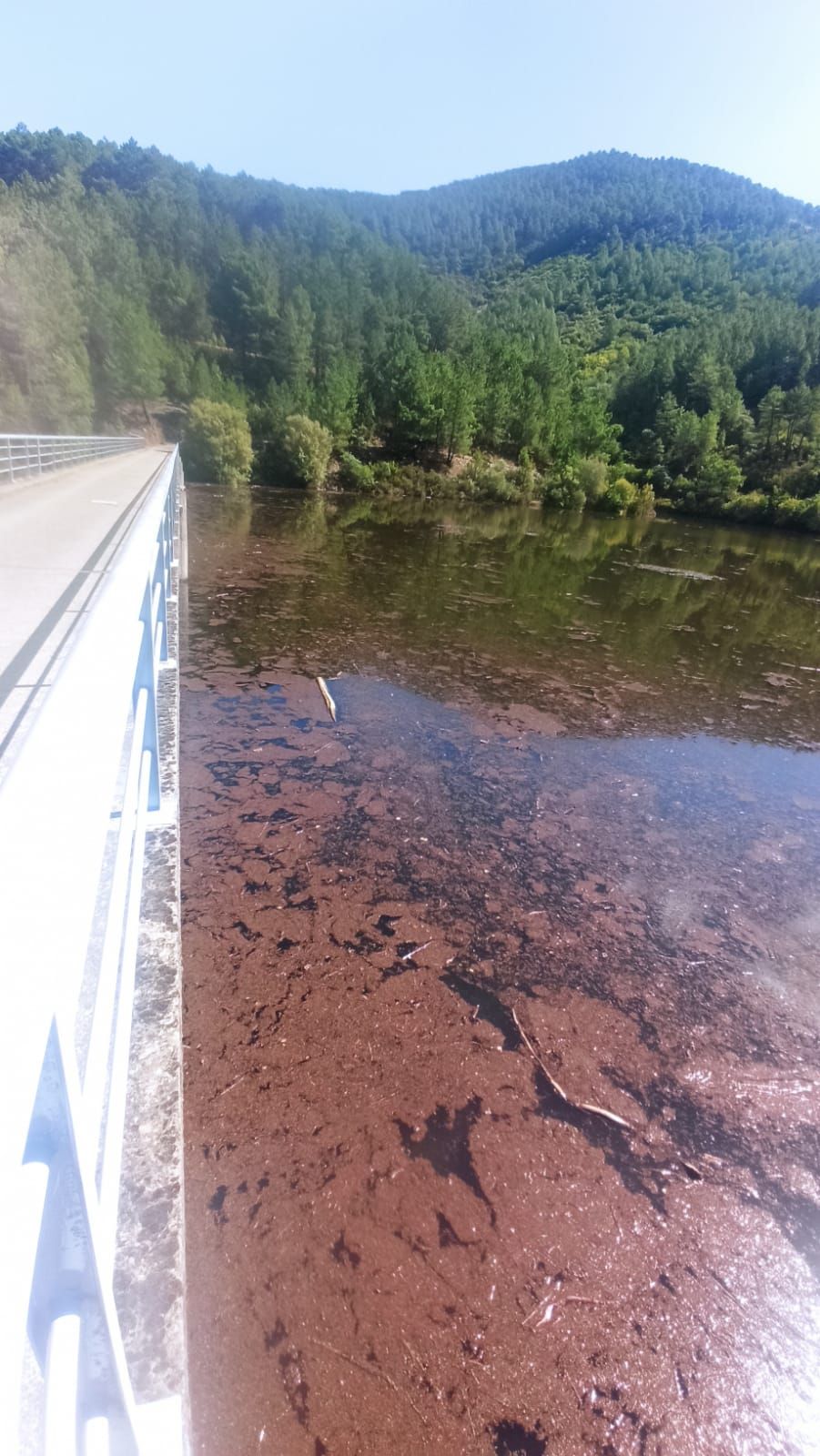 FOTOGALERÍA | Así sale el agua del grifo en Nuñomoral