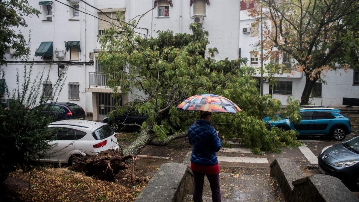 Fotogalería | Así afecta el temporal de lluvia y viento en Cáceres