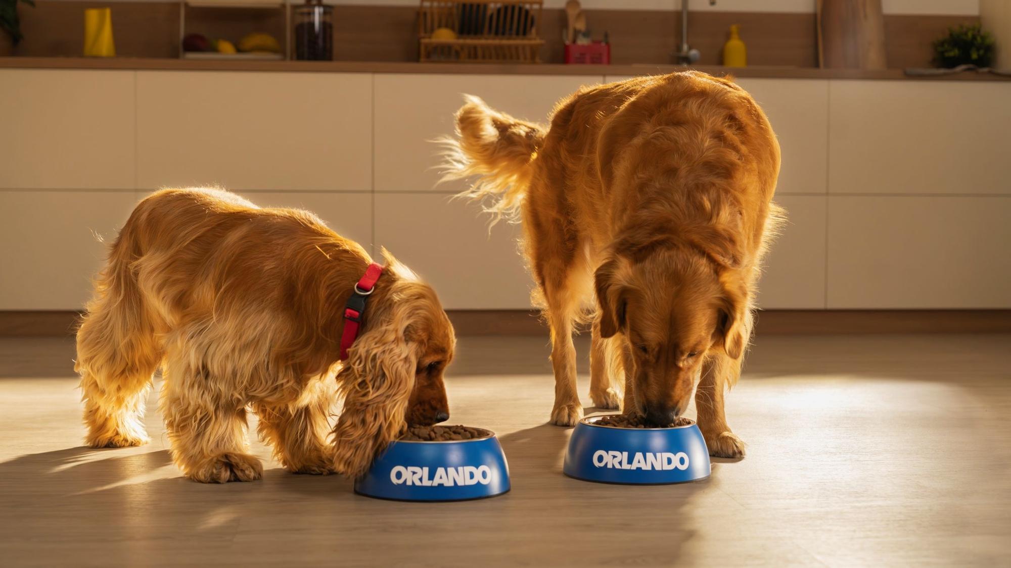 Lidl lanza su novedosa y reformulada marca Orlando de comida para perros, que cuenta con una calidad igual o superior a la de las marcas especializadas, a un precio menor.