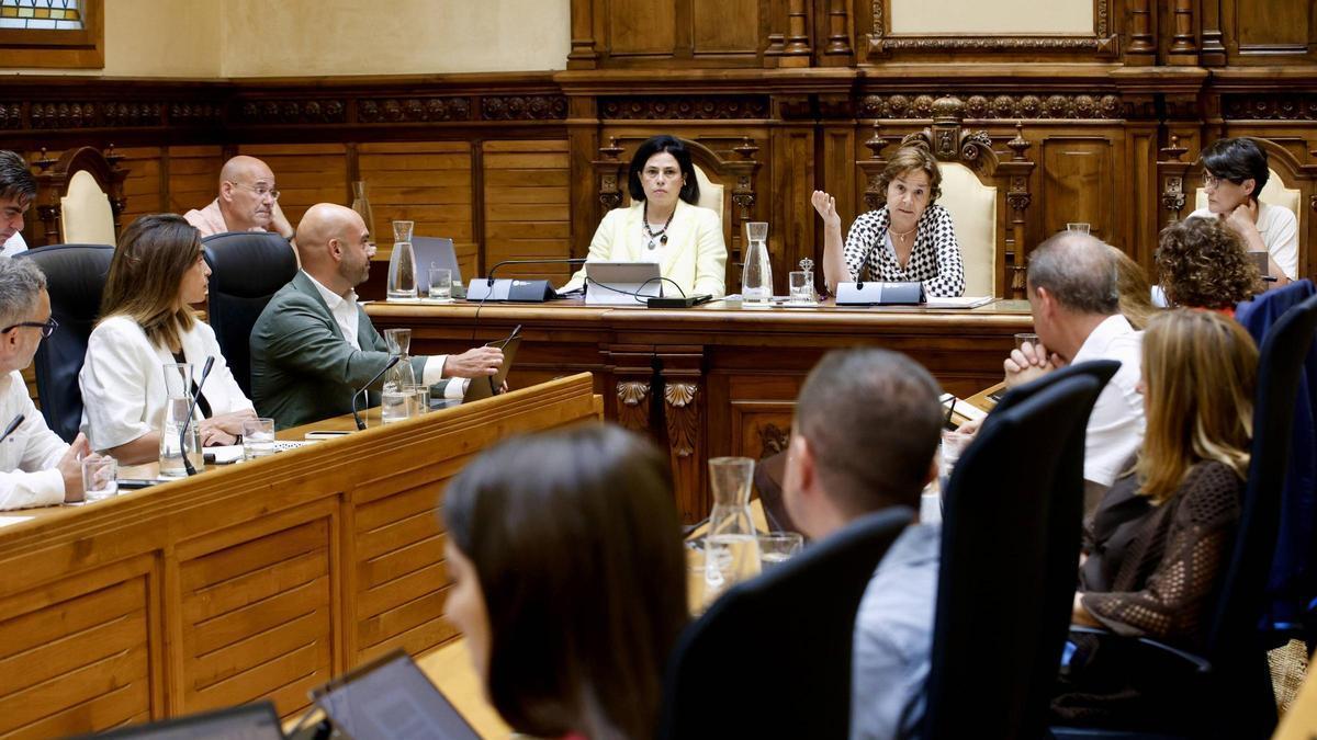Carmen Moriyón, interviniendo durante el Pleno.