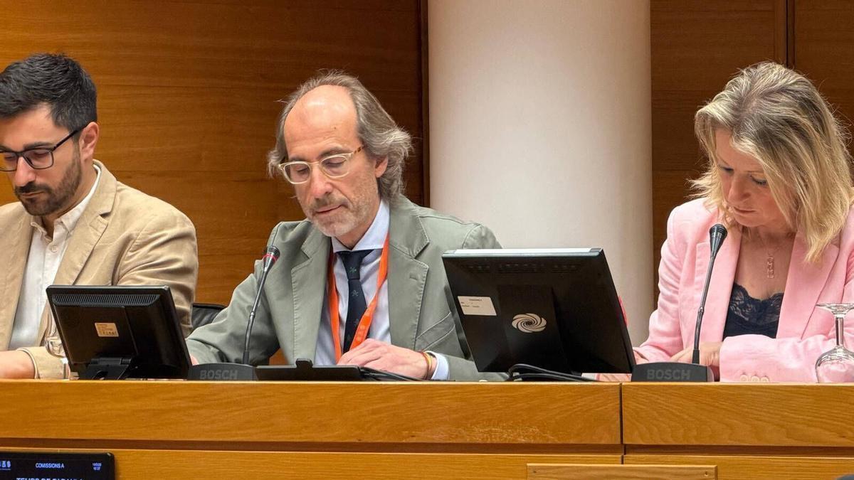 El secretario autonómico de la Planificación, Información y Transformación Digital de la Conselleria de Sanidad, Bernardo Valdivieso, en las Corts