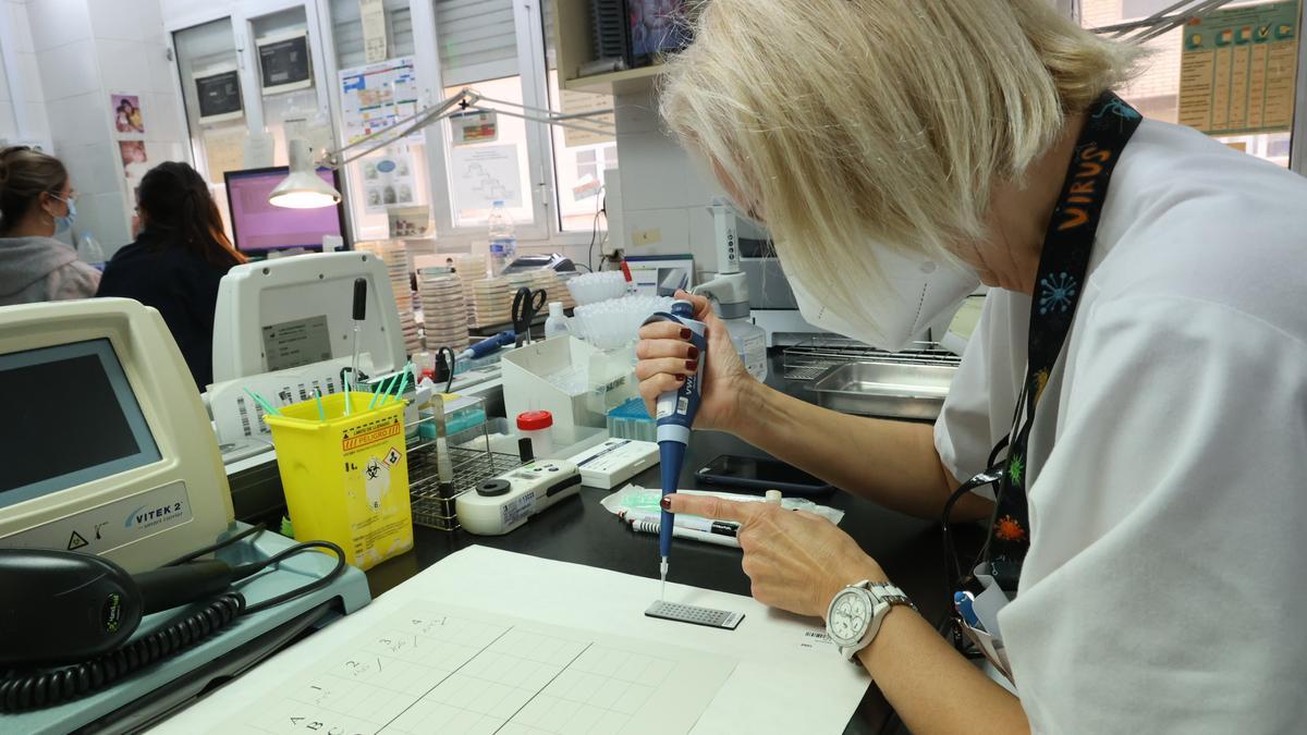 Laboratorio de Microbiología del Hospital General de Castelló.