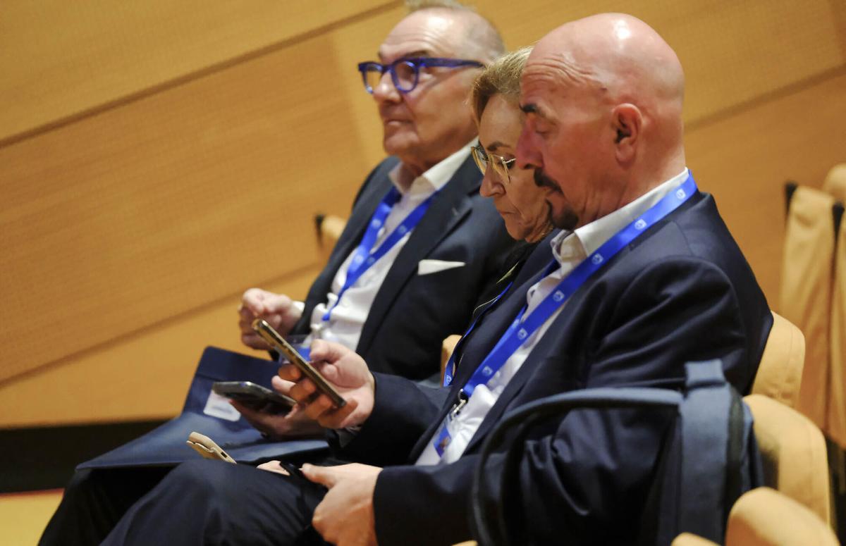 Congreso en Gran Canaria de la Sociedad Española de Electromedicina