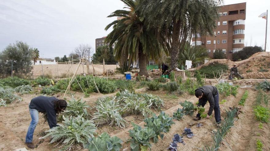 Una decena más de huertos urbanos para Benimaclet