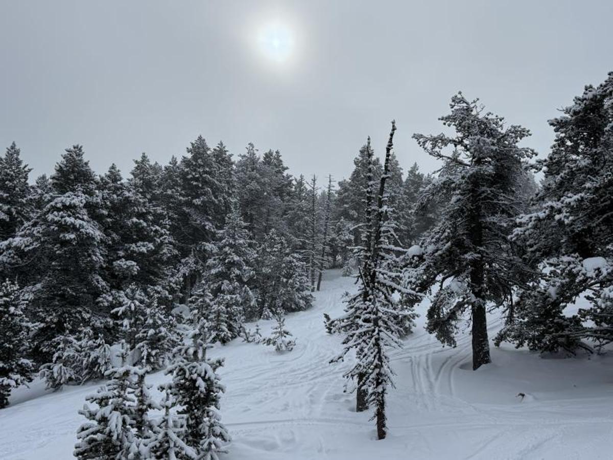 Nevada en las estaciones de Port Ainé y Font-Romeu Nevada en las estaciones de Port Ainé y Font-Romeu