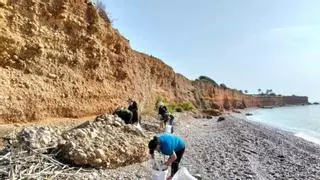 Electrodomésticos, uralita y hasta una silla de ruedas: el mar escupe 150 kilos de residuos en una playa de Castellón