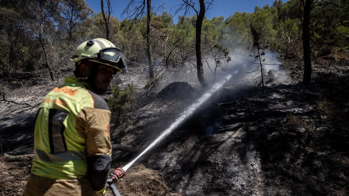En imágenes | El operativo de INFOAR sigue este jueves con las labores de extinción en el incendio de Leciñena