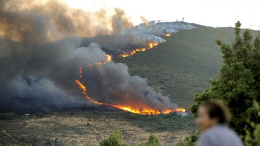 Los incendios azotan las provincias de Zamora, Santiago y Orense