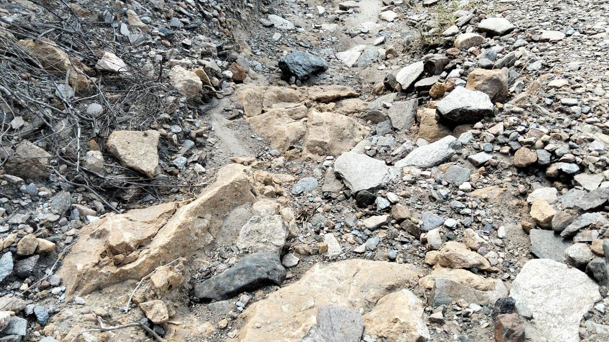 Estado actual en el que se encuentra el camino de acceso a ocho viviendas en el paraje de Los Jarales.