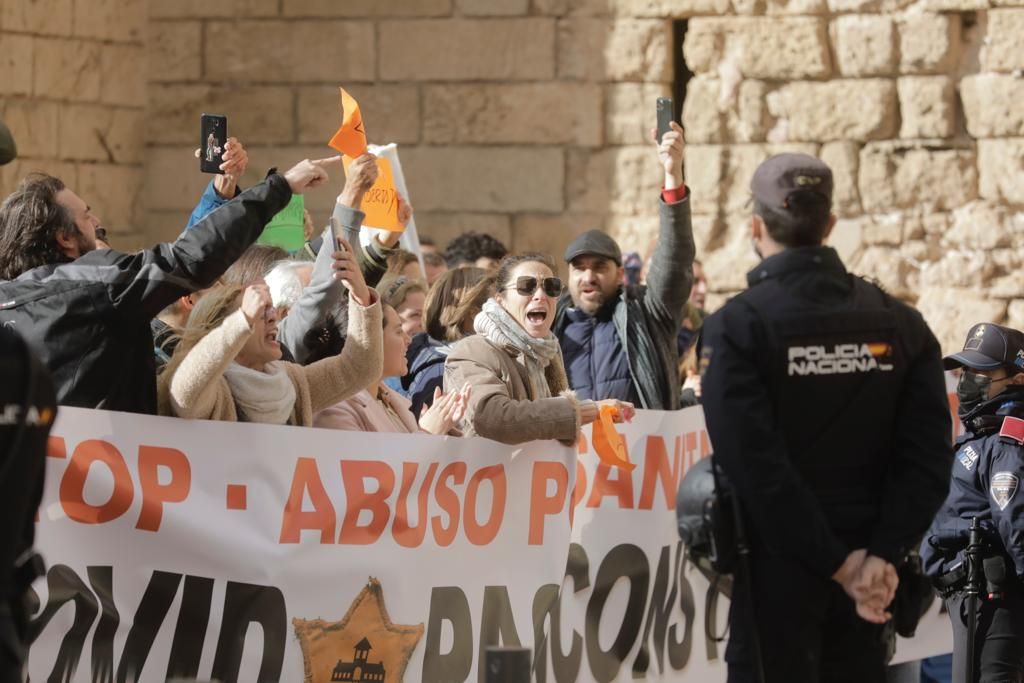 Más de 300 personas se concentran ante el Palacio de la Almudaina al grito de 'libertad' y 'Armengol dimisión'