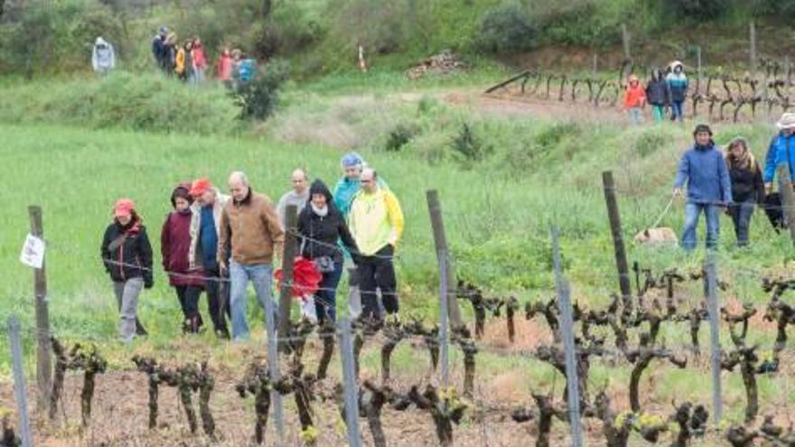 Passejada inaugural entre vinyes a l&#039;Empordà.