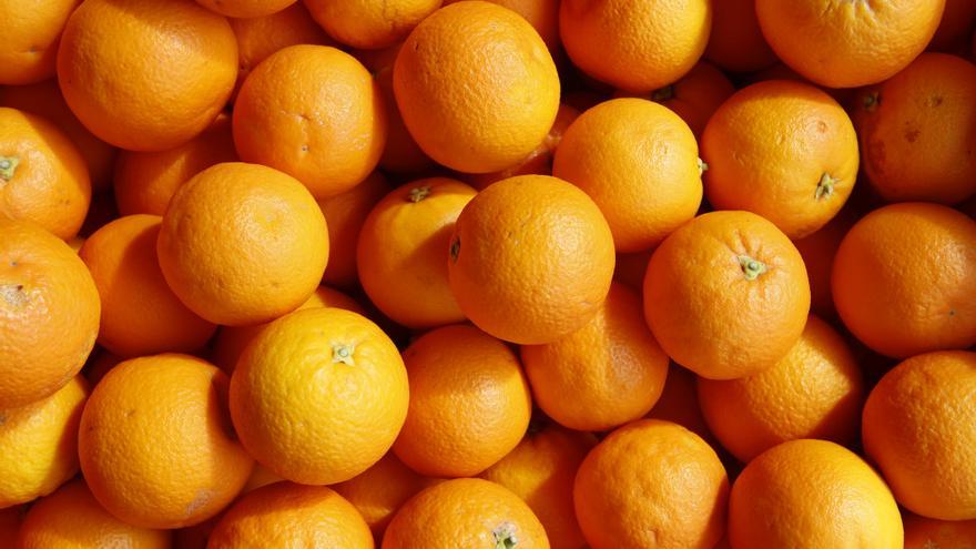 Orangen von Mallorca: Warum die Bauern aus Sóller auf ein EU-Zertifikat verzichten