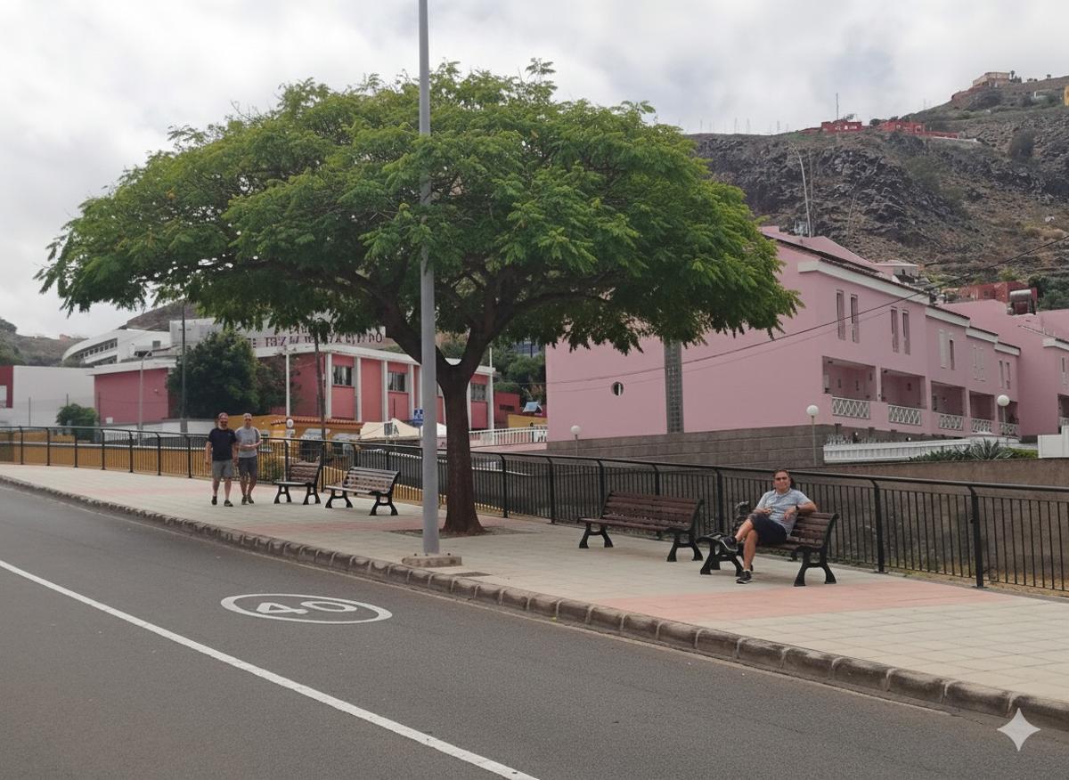 Actuación prevista en el proyecto municipal junto al barranco.