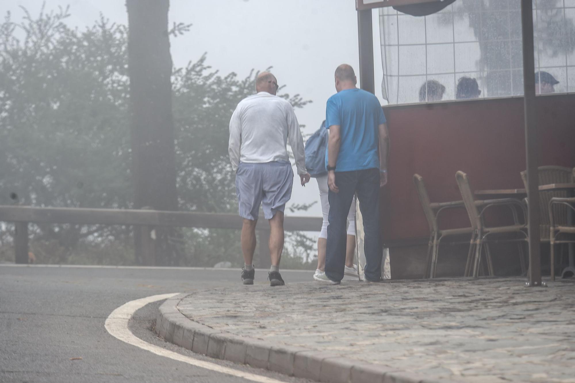 En busca del rastro verde del ‘Hermine’