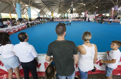 Castelló acoge el Campeonato de Belleza Canina