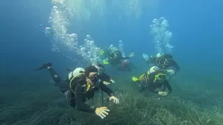 El nuevo título de Técnico Deportivo de Buceo de la Región levanta polvareda en el sector