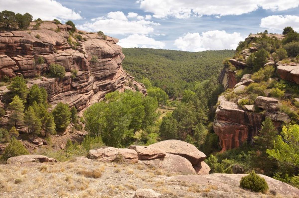 Pinares de Rodeno es un paisaje protegido en la comarca de la Sierra de Albarracín