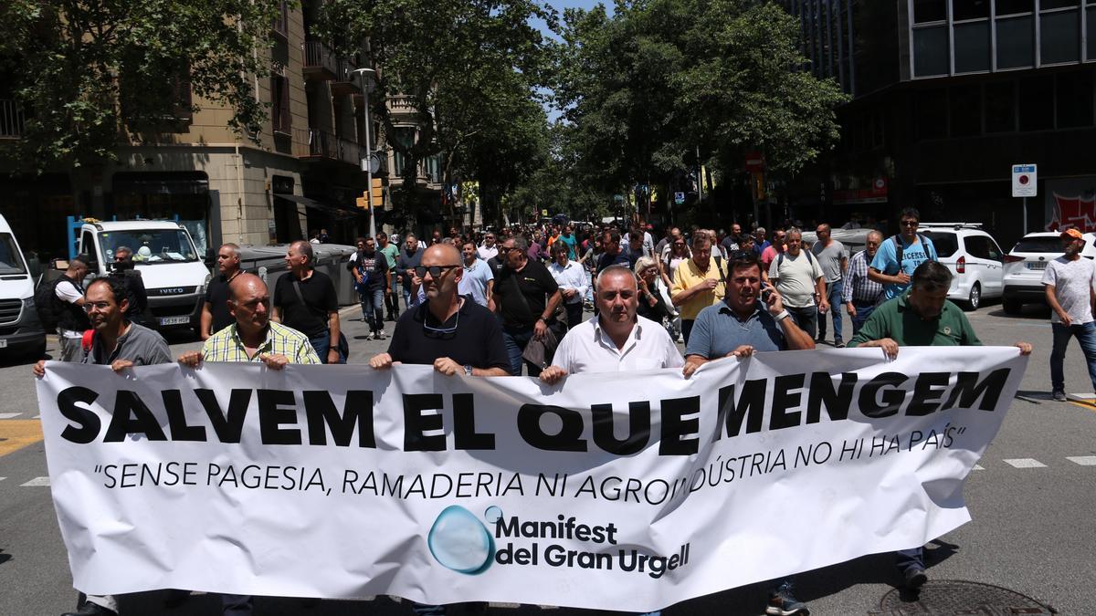 Els manifestants, al centre de Barcelona
