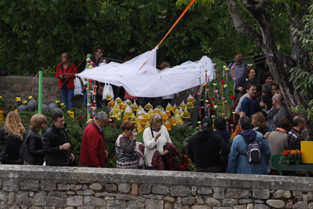 Girona floreix amb «Temps de Flors»