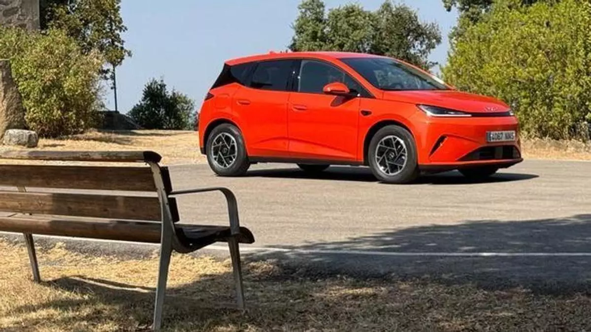 BYD Dolphin G