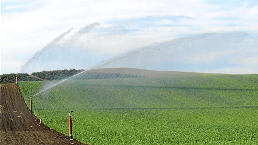 ¿Por qué se quiere más agua?