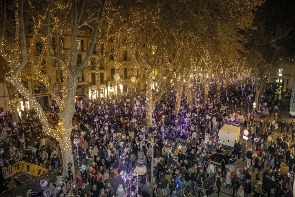 Palma "flipa" con el encendido de Navidad