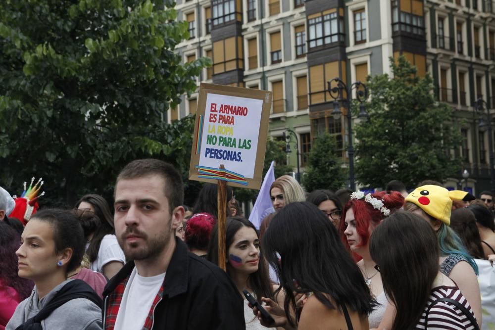 Manifestación del Orgullín del Norte.