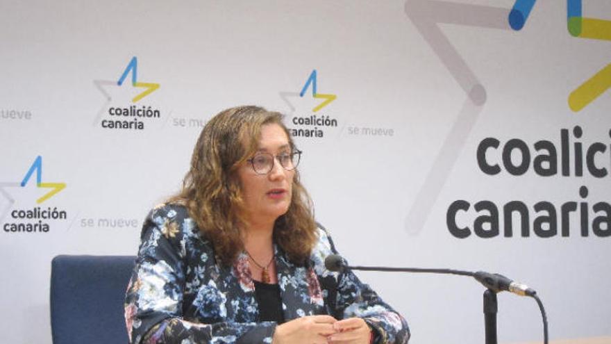 CC pide en el Congreso un plan contra lluvias intensas en la zona del incendio de Gran Canaria