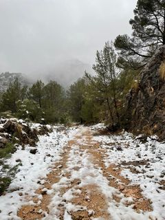 Las fotos de la nieve en Mallorca de nuestros lectores