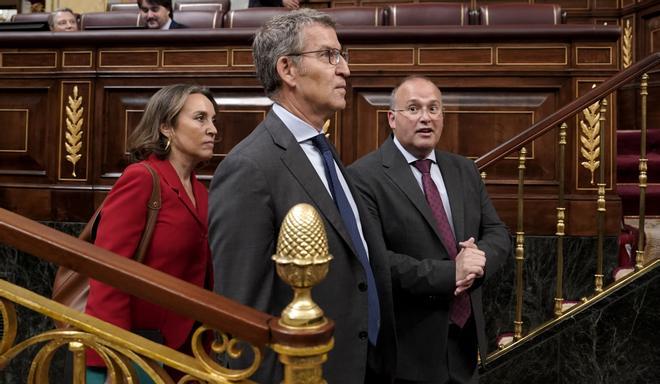 Alberto Núñez Feijóo junto a Cuca Gamarra y Miguel Tellado en el pleno de la aprobación final de la ley de amnistía.