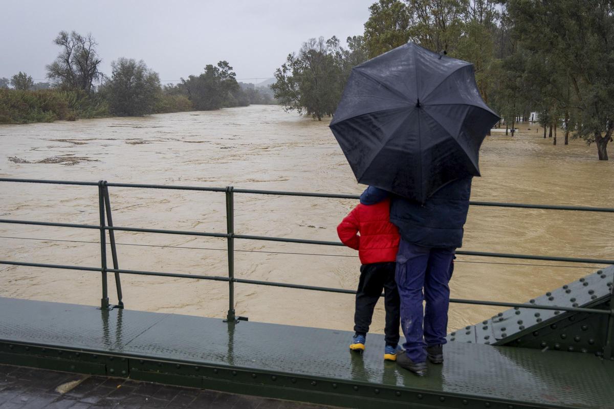El río Guadalhorce a su paso por Estación de Cártama este domingo.