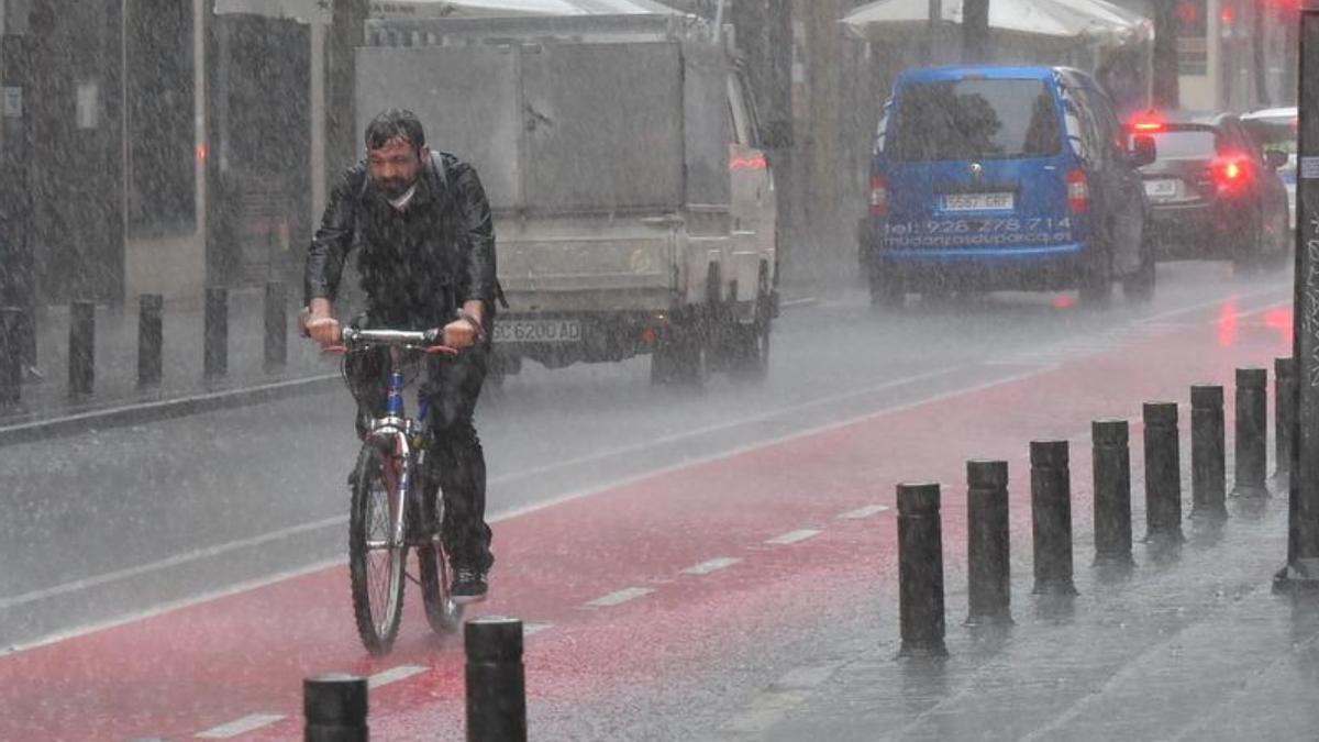 Presencia de algas en Las Canteras