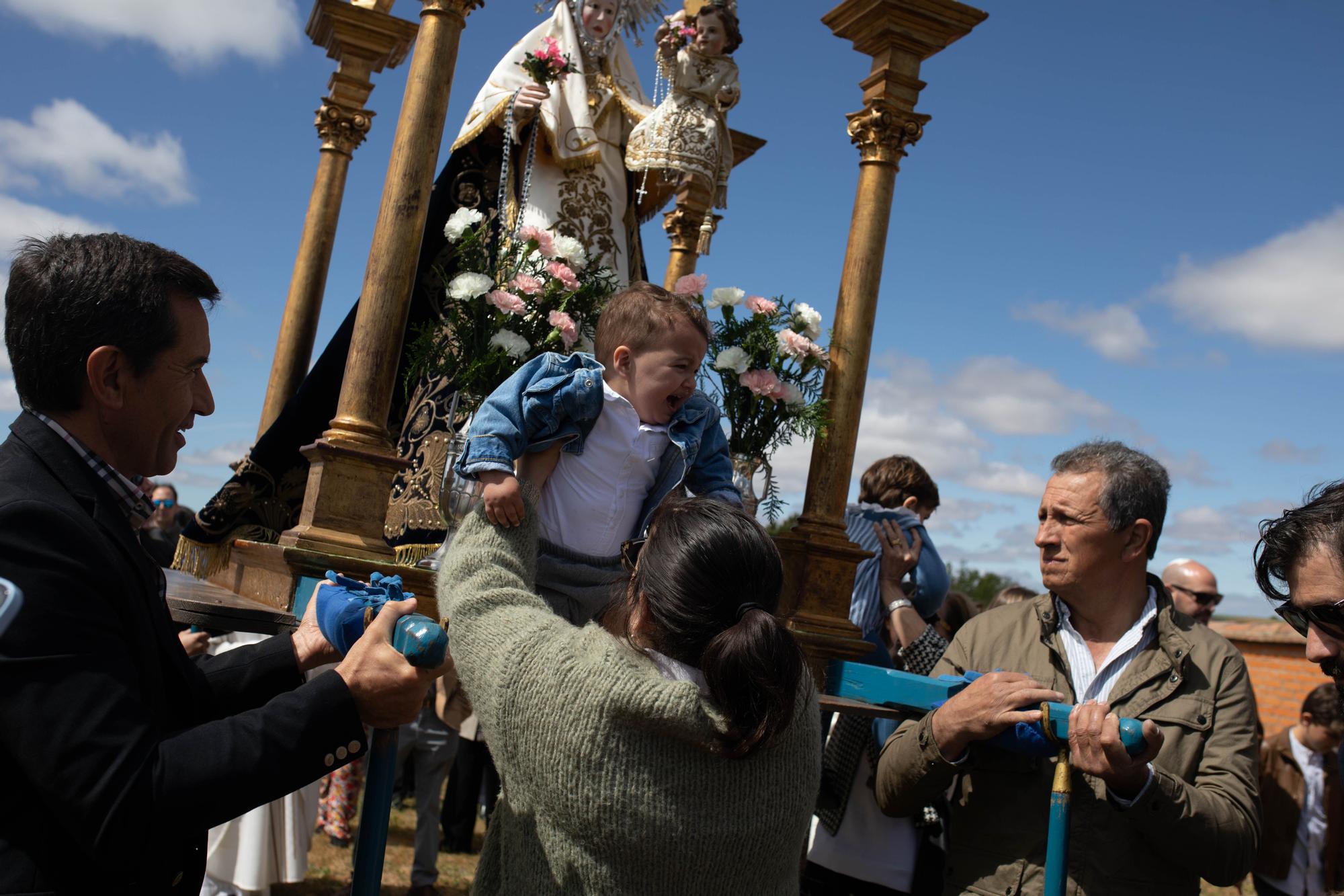 GALERIA | La romería de la Virgen del Olmo, en imágenes