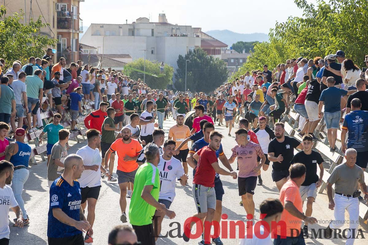 Sexto y último encierro de la Feria Taurina del Arroz en Calasparra