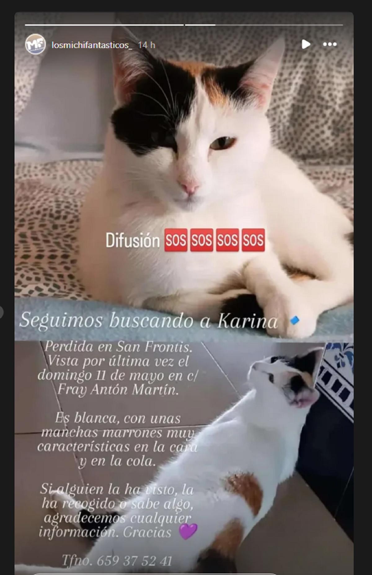 Michifantásticos.