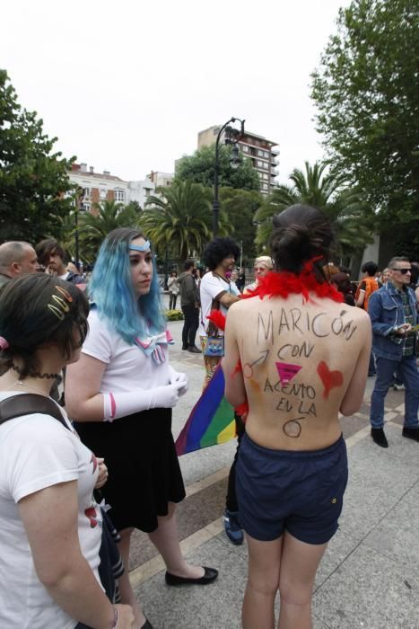 Manifestación del Orgullín del Norte.