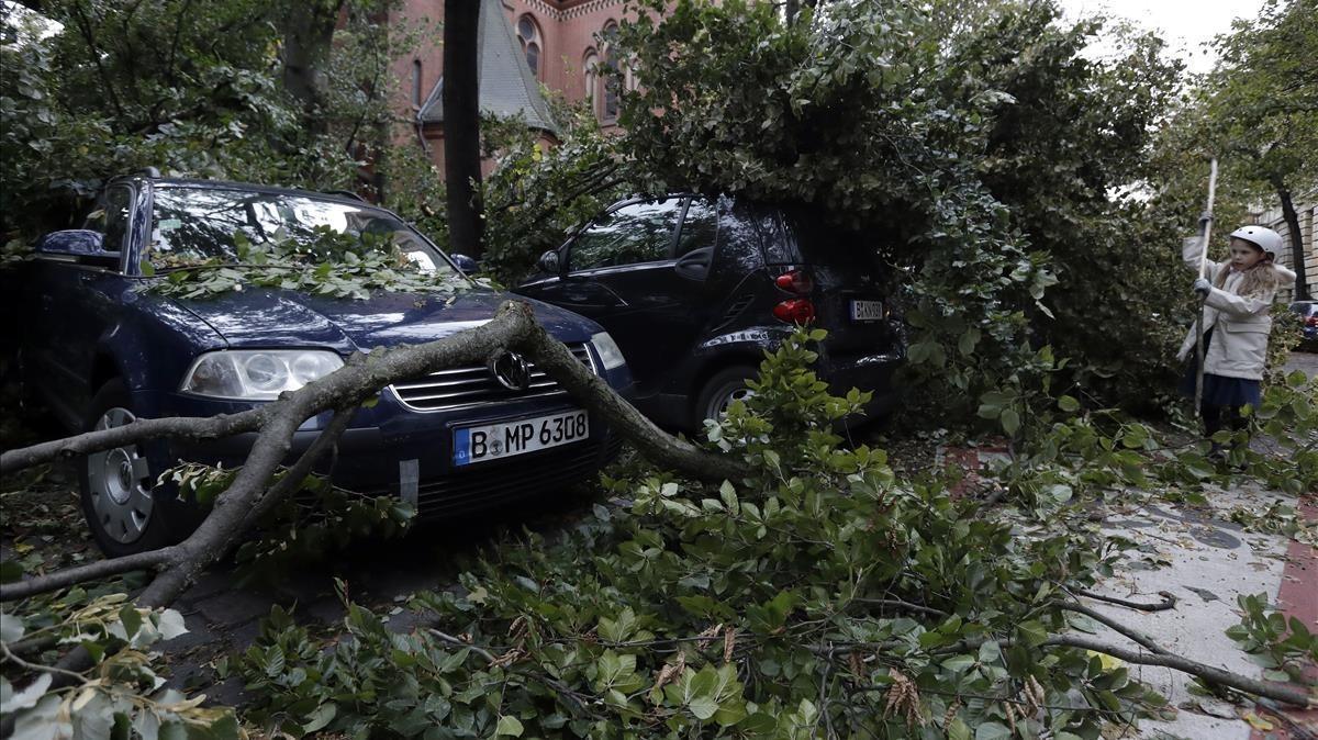 undefined40423361 a tree has crashed on cars during a heavy storm in berlin  g171006125653