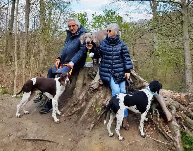 De trabajar en la UE a crear un pulmón de 25 hectáreas en Galicia: la aventura de dos biólogos gallegos