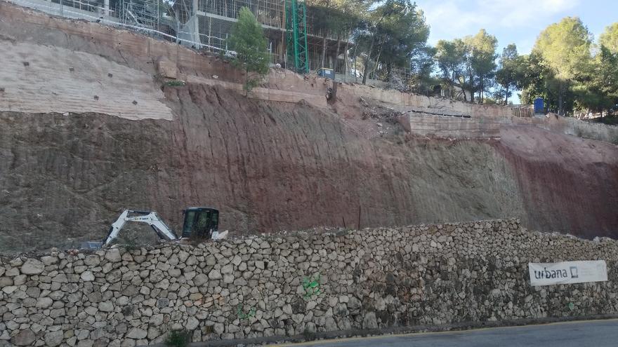 En la parcela de Pinares se talaron 14 árboles y no cerca de cien, asegura Sostenibilidad