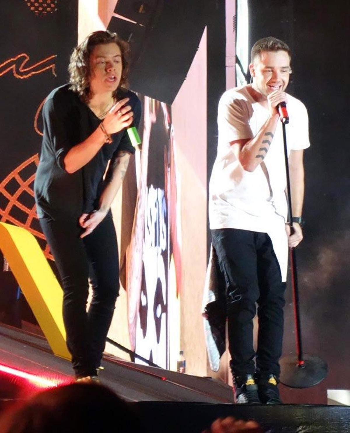 Harry Styles y Liam Payne cantando sobre el escenario desplegado en Sídney