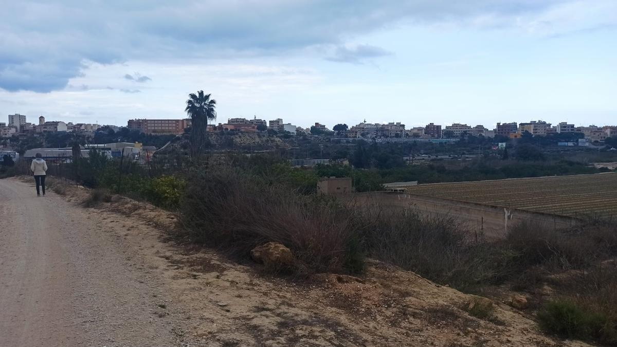 Panorámica de la zona donde se han aprobado 2.300 viviendas en Guardamar. Al fondo la N-332 y el casco urbano