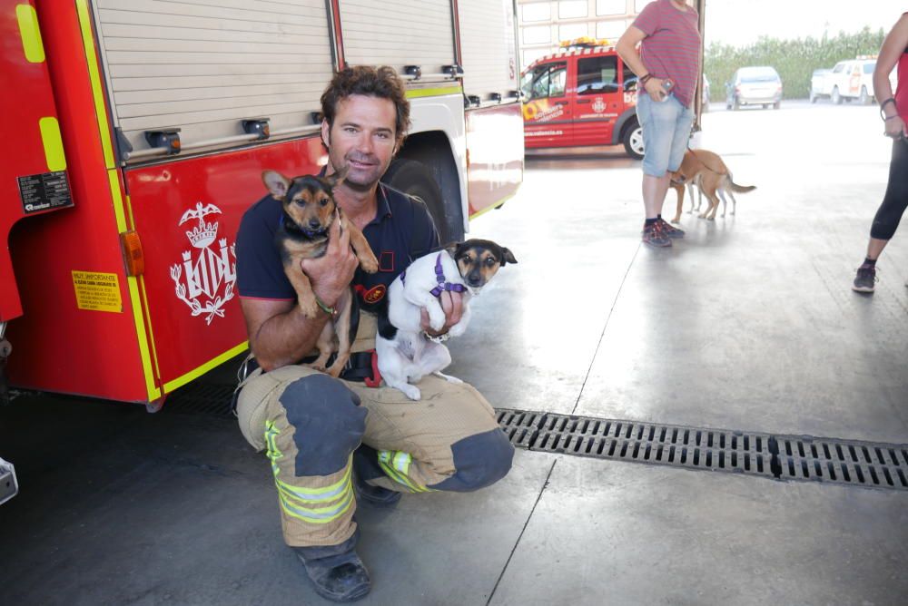 Los bomberos, en la campaña con las mascotas.