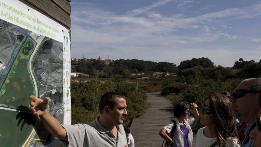 Participantes en una de las actividades organizadas por Mavea.