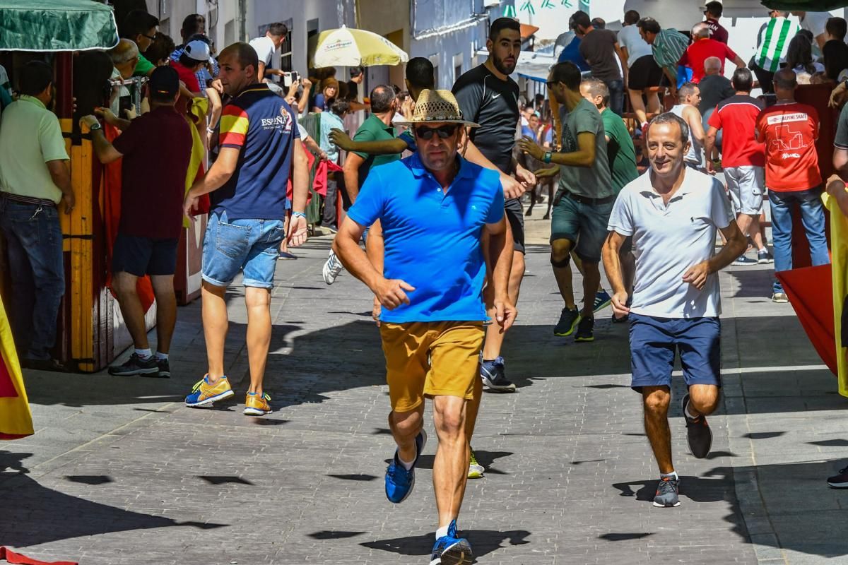 Encierro de las vaquillas de El Viso