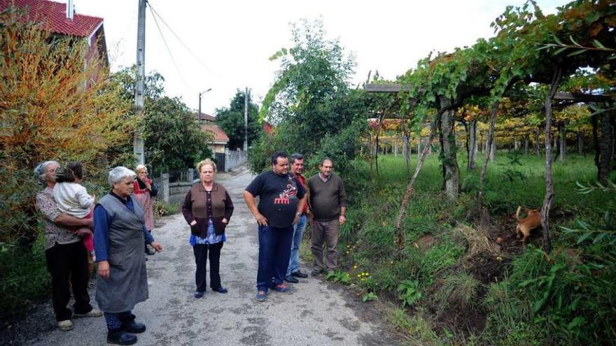 Un grupo de vecinos muestra una de las fincas a las que accedieron los caballos. // Iñaki Abella