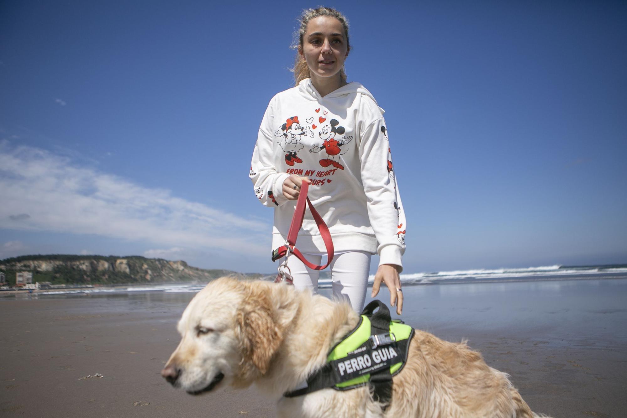 En imágenes: así fue el campeonato de surf para perros en Salinas