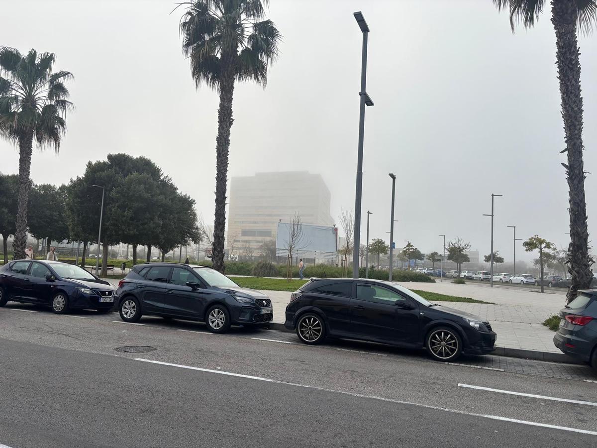 Las imágenes de la niebla en Palma